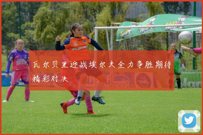 瓦尔贝里迎战埃尔夫全力争胜期待精彩对决