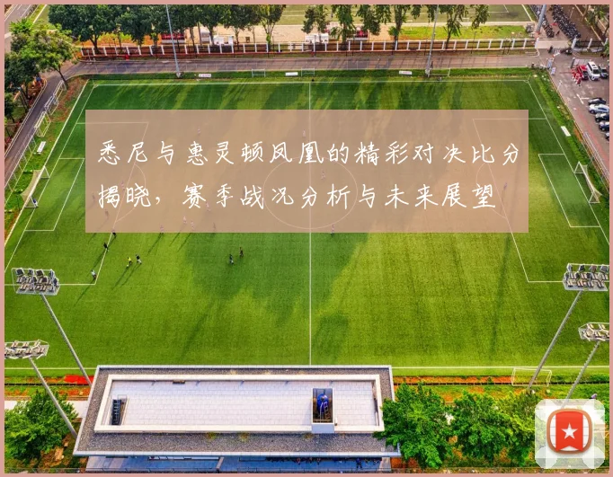 悉尼与惠灵顿凤凰的精彩对决比分揭晓，赛季战况分析与未来展望