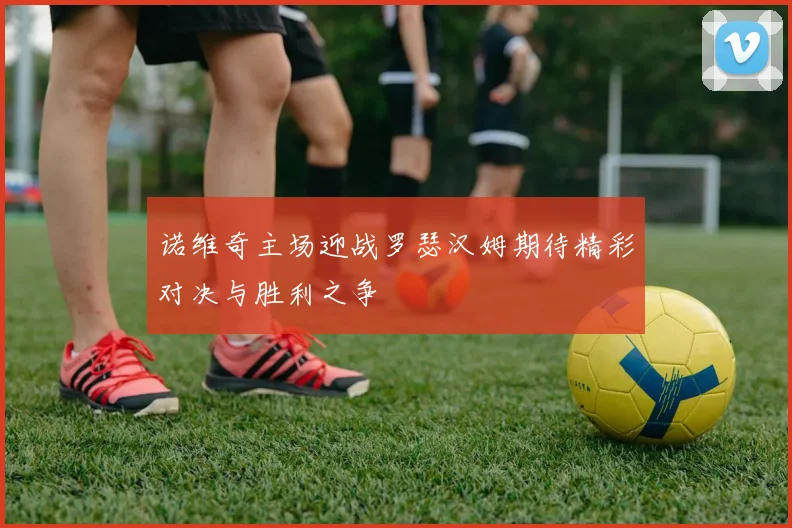 诺维奇主场迎战罗瑟汉姆期待精彩对决与胜利之争