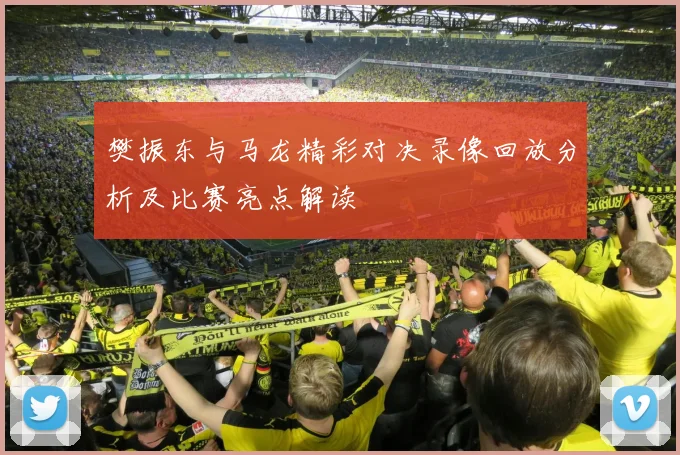 樊振东与马龙精彩对决录像回放分析及比赛亮点解读